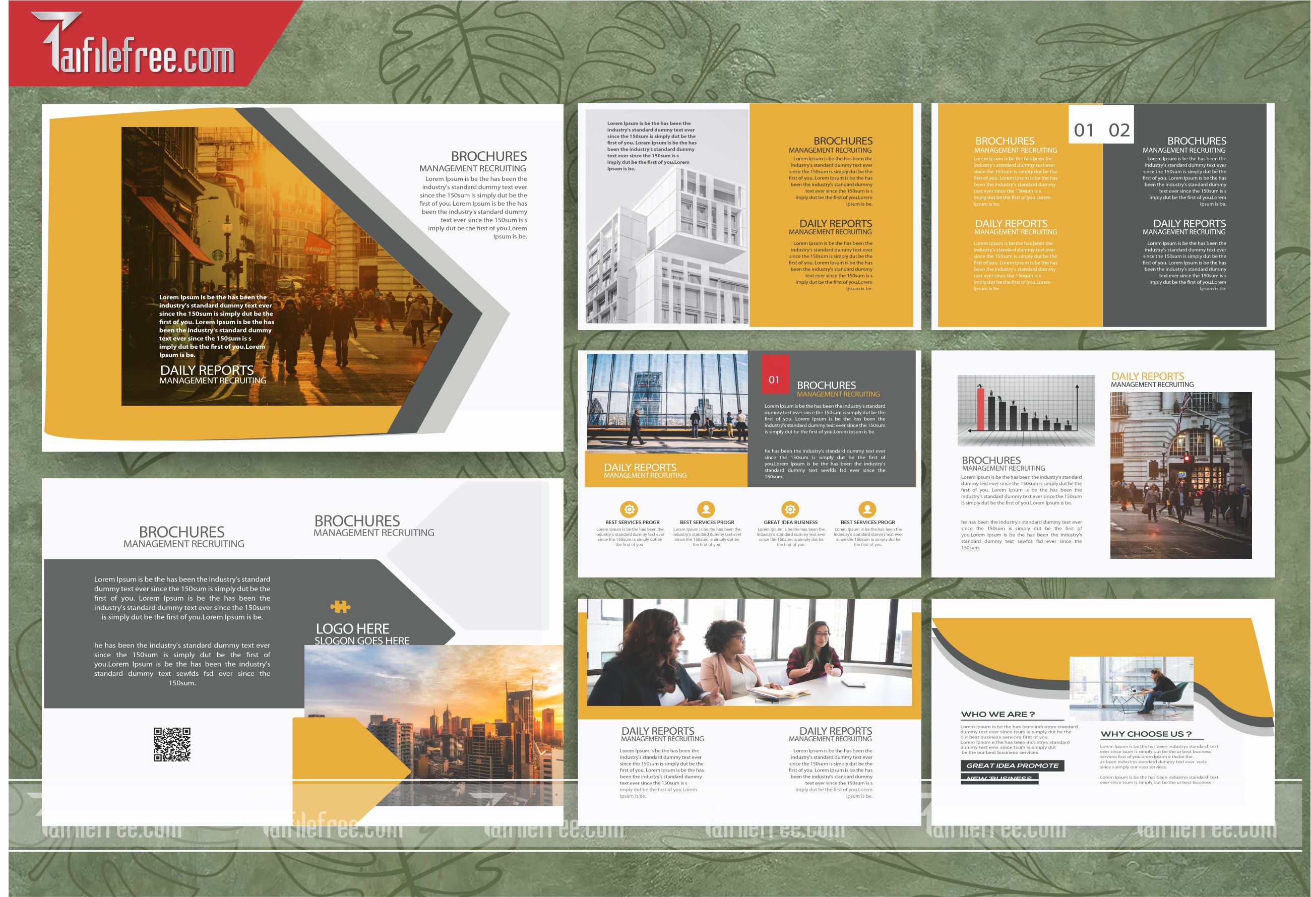 Mẫu Catalogue Đẹp File Vector CB16