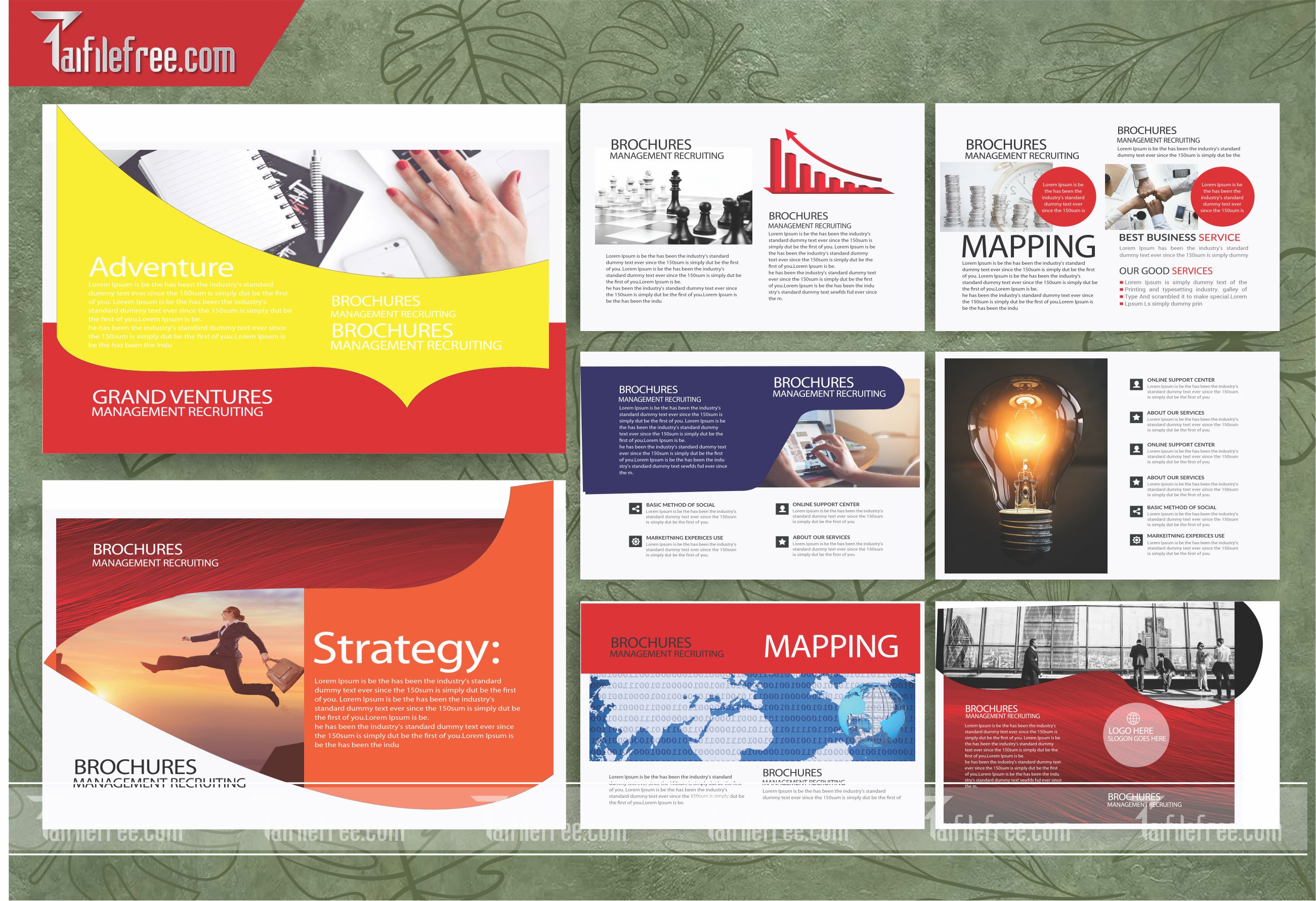 Mẫu Catalogue Đẹp File Vector CB18