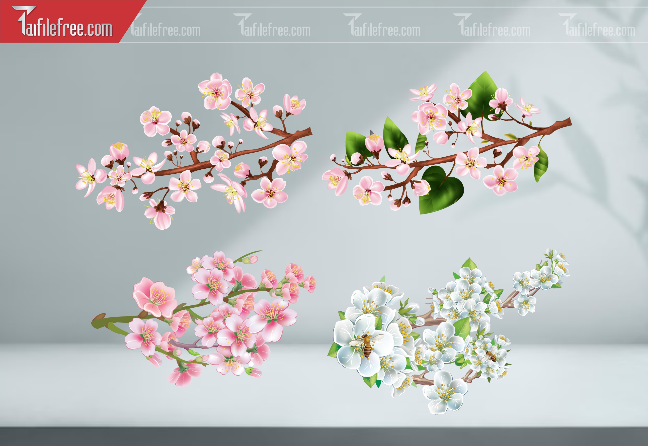 Dữ Liệu, Họa Tiết Tết, Cành Hoa Mai, Hoa Đào Vector_DLT105