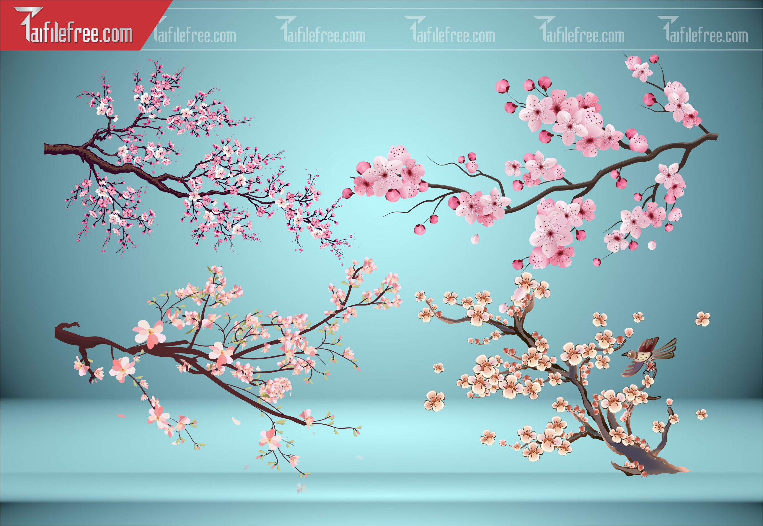 Dữ Liệu, Họa Tiết Tết, Cành Hoa Đào Vector_DLT112