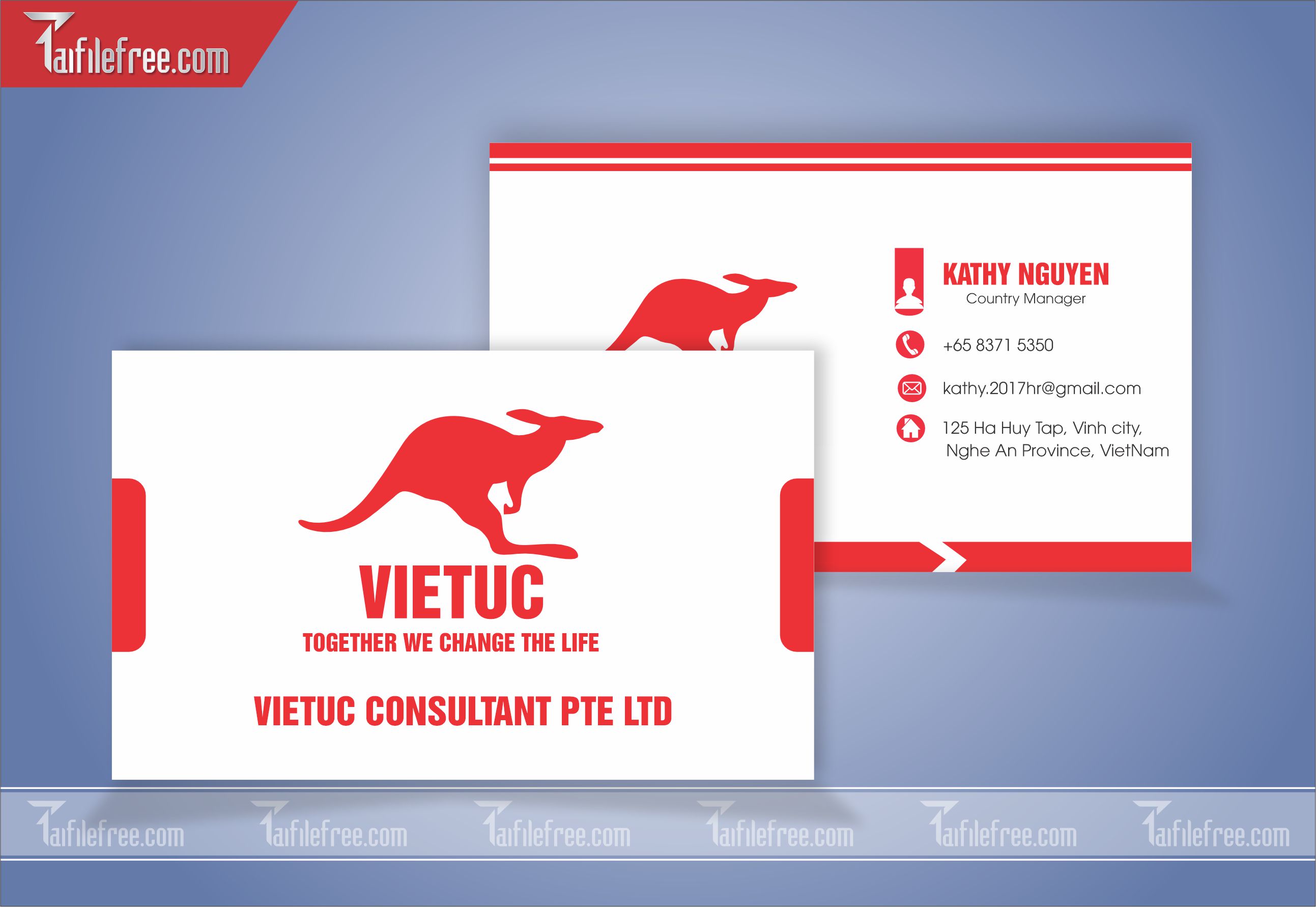 Danh Thiếp, Name Card Công Ty Giáo Dục_DT70