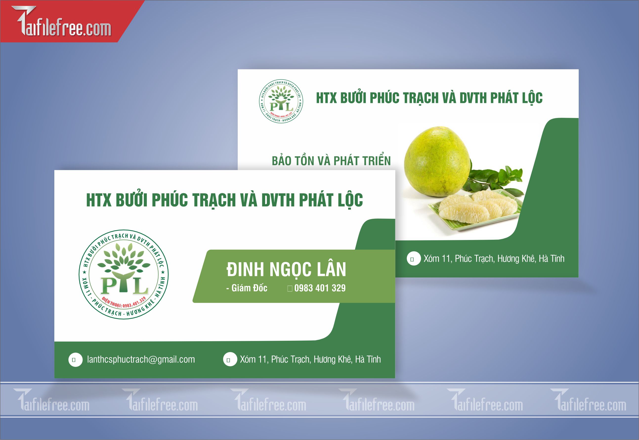 Danh Thiếp, Name Card  Công Ty Trái Cây_DT89