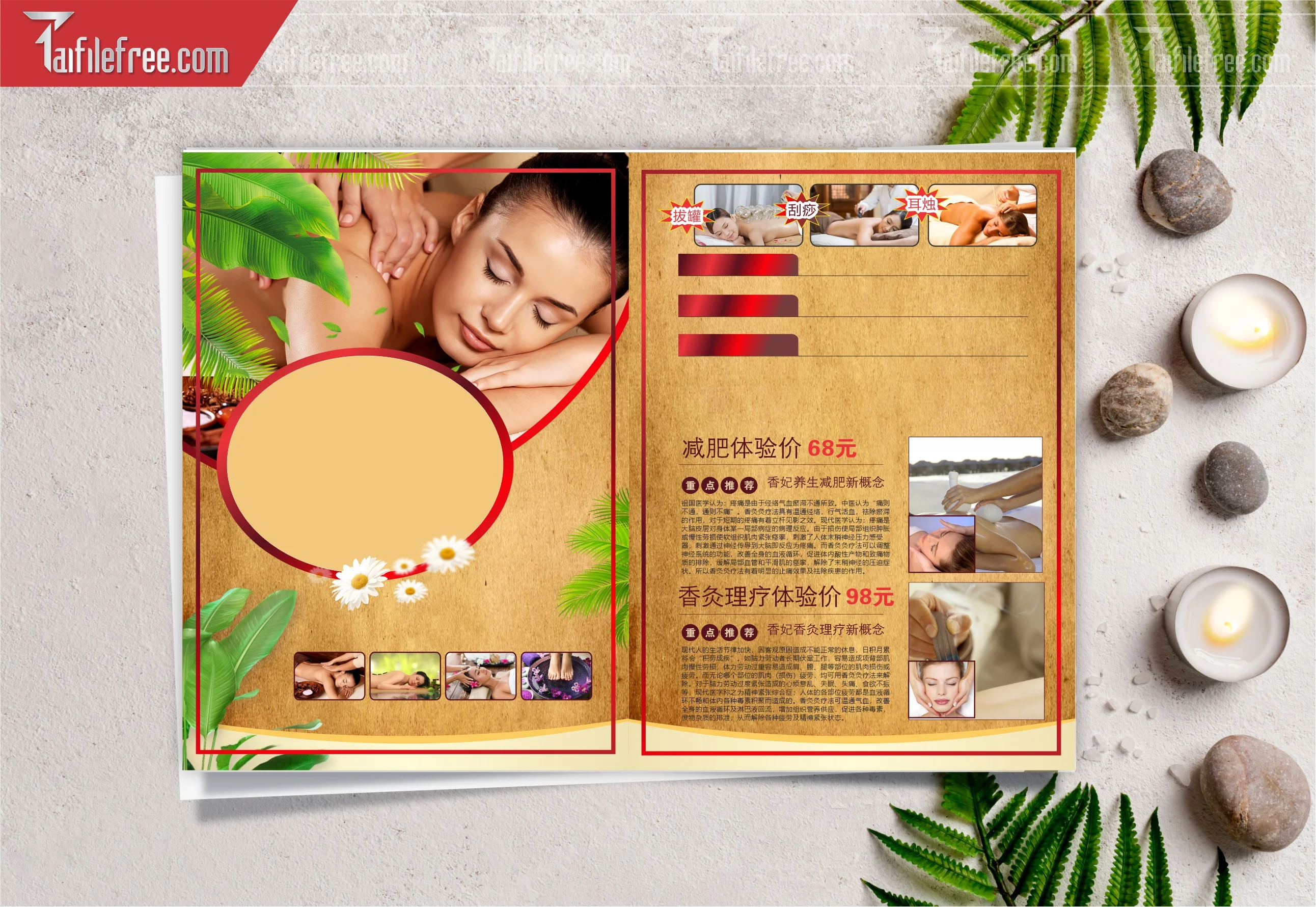 Mẫu Vector Menu Spa Đẹp_M100
