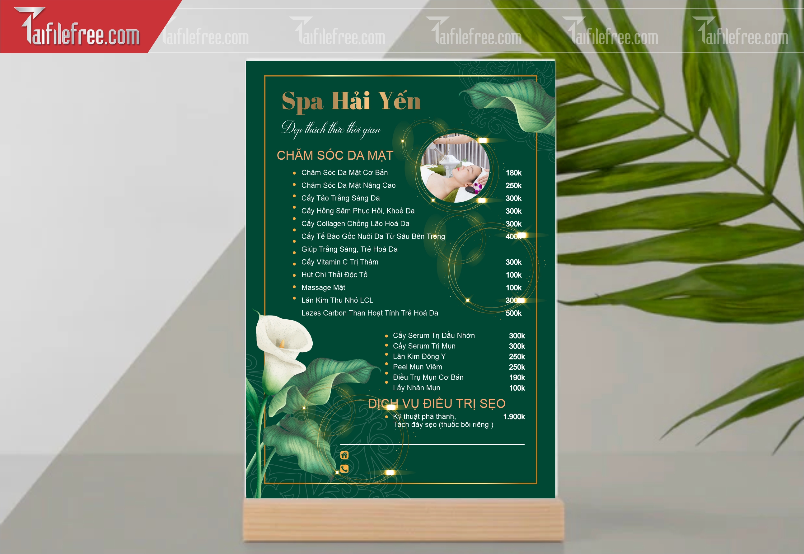Mẫu Vector Menu Spa Đẹp_M80