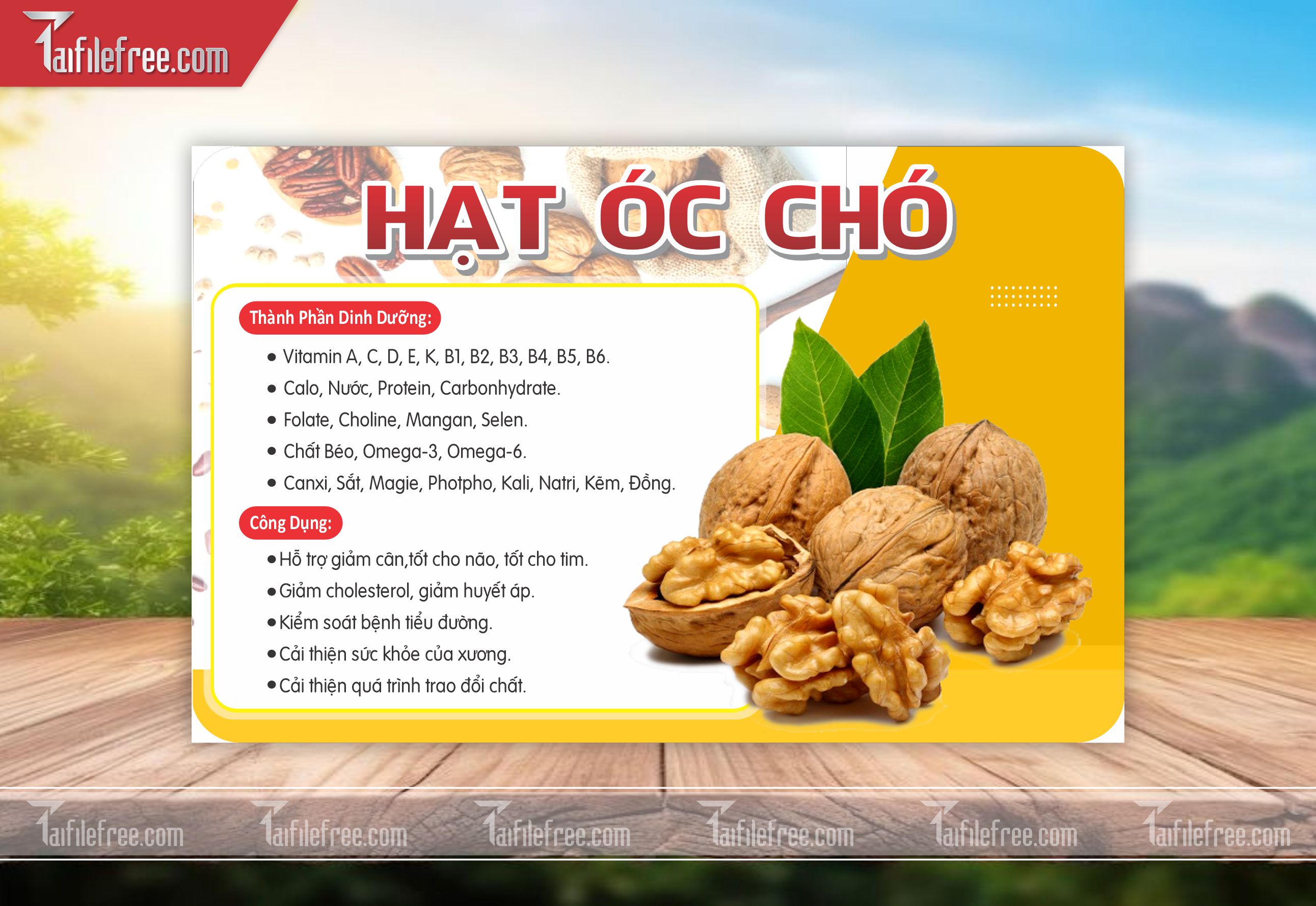 Mẫu Thiết Kế Tem Nhãn Sản Phẩm, Tem Hạt Óc Chó TN35