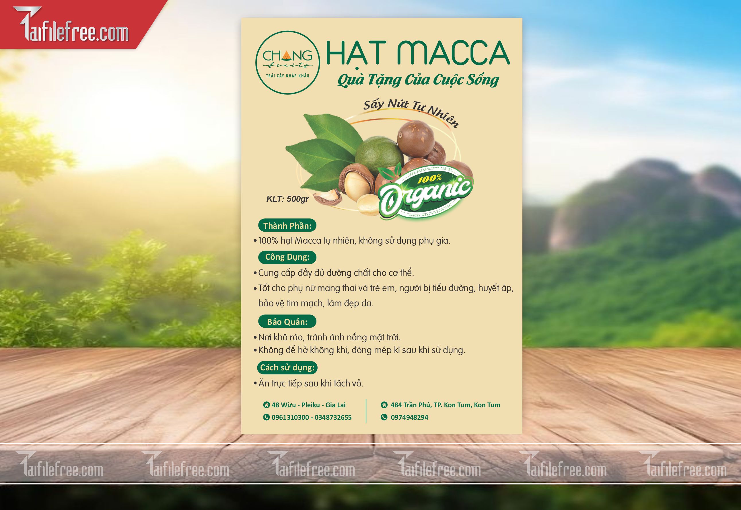 Mẫu Thiết Kế Tem Nhãn, Tem Hạt Macca TN73