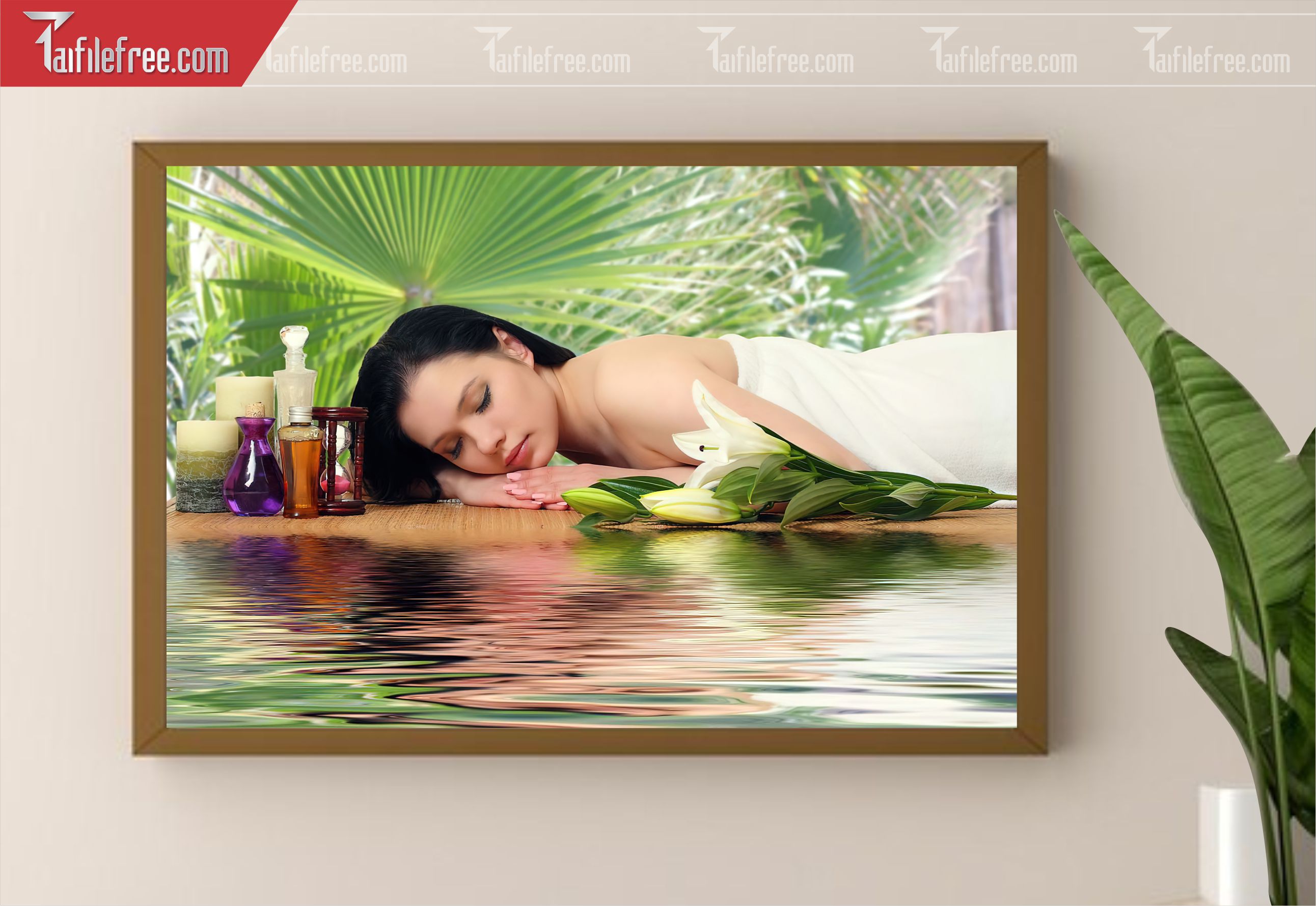 Tranh Trang Trí Spa _TS79