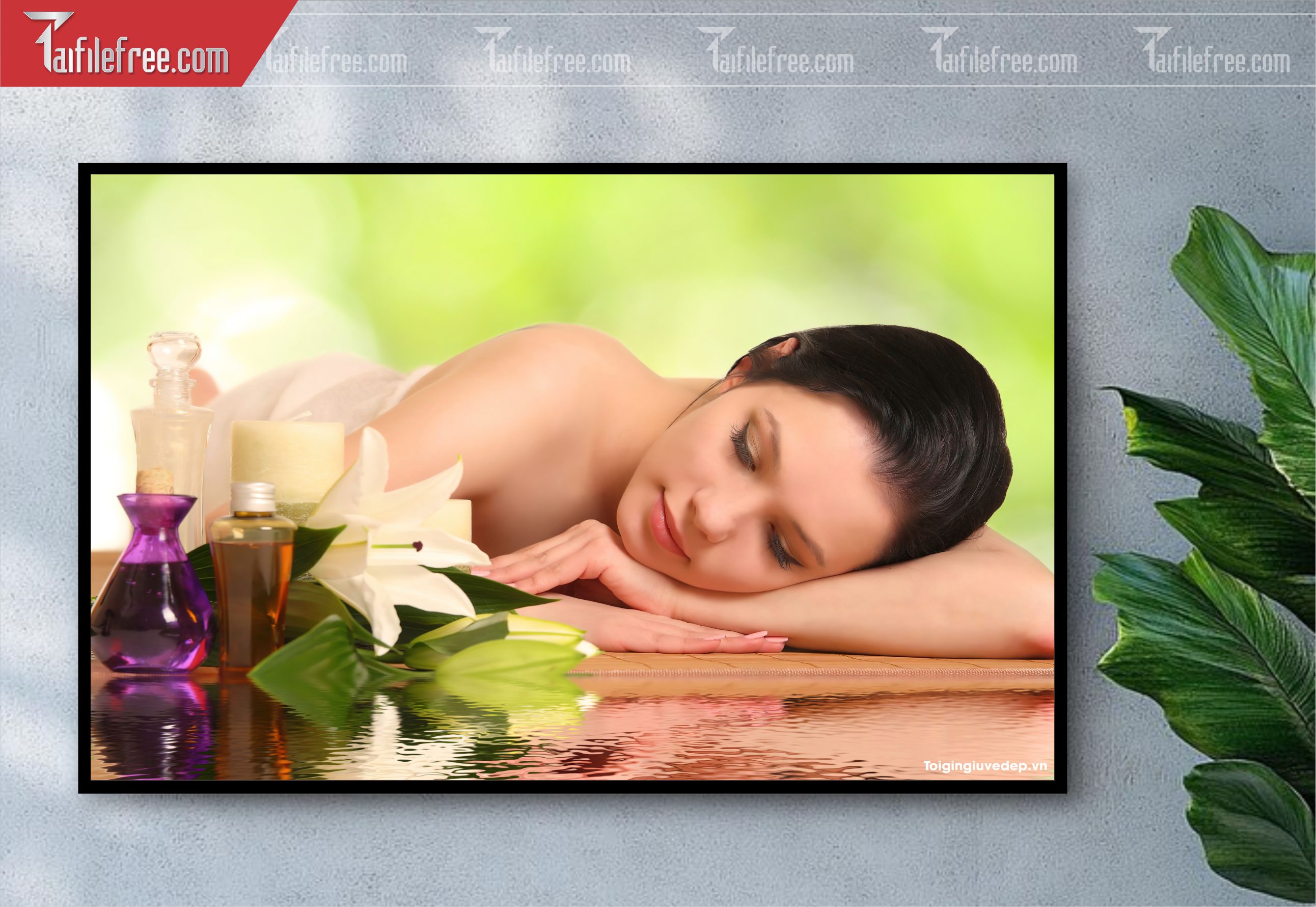 Tranh Trang Trí Spa _TS82