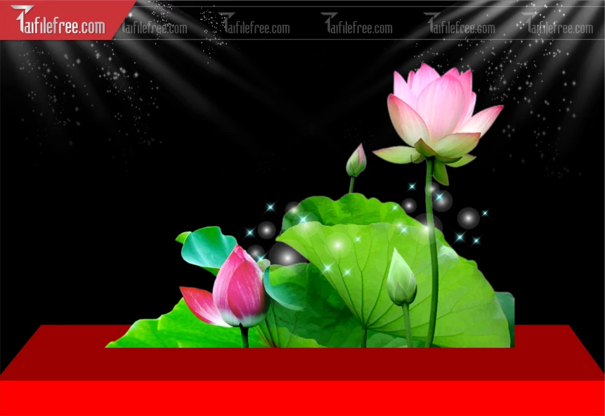 Mẫu Hoa Sen Trang Trí_BH633