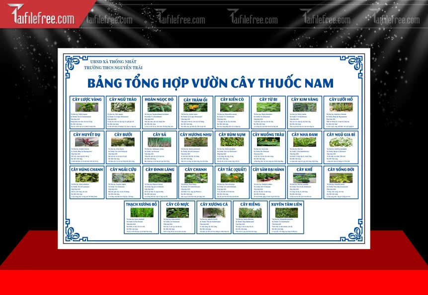 Mẫu Bảng Tổng Hợp Vườn Cây Thuốc Nam_BH705