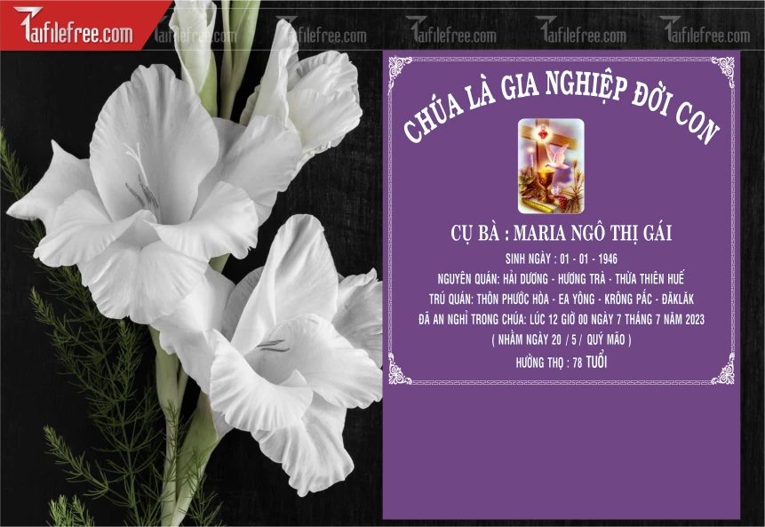 Mẫu Cáo Phó Tang Lễ Công Giáo_CP09