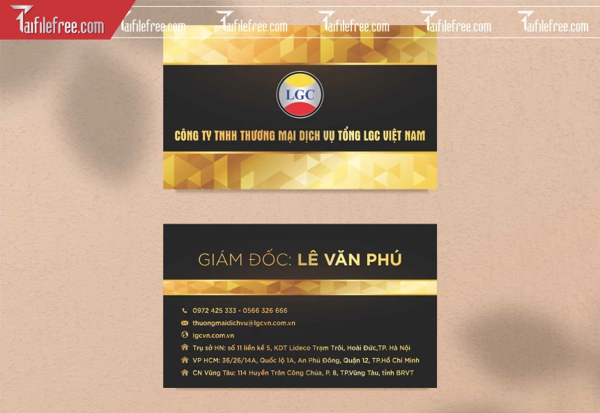 Danh Thiếp Công Ty Đẹp, Card Nền Đen Sang Trọng_DT118