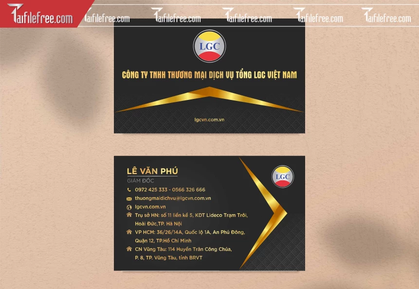 Danh Thiếp Công Ty Đẹp, Card Nền Đen Sang Trọng_DT119